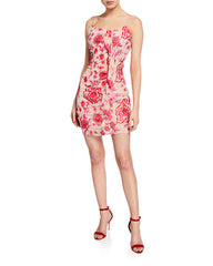 Parker Lace Embroidered Mesh Dress