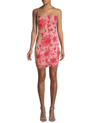 Parker Lace Embroidered Mesh Dress