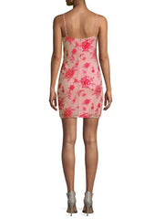 Parker Lace Embroidered Mesh Dress