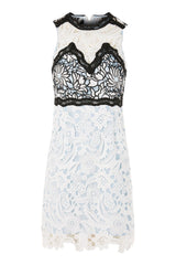 Topshop Floral Lace Embroidered Pencil Mini Dress